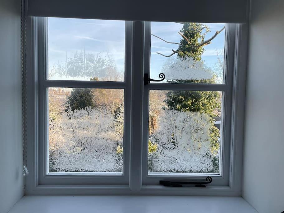 Delightful Ely House Bright And Warm With Cathedral View Appartement Buitenkant foto